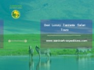 Best Luxury Tanzania Safari Tours