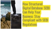 Structured Digital Database SEBI 2
