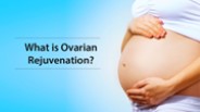 What Is Ovarian Rejuvenation?