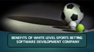 BENEFITS OF WHITE LEVEL SPORTS BETTING SOFTWARE DEVELOPMENT COMPANY