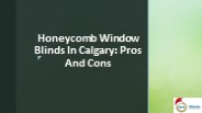 Honeycomb Window Blinds In Calgary: Pros And Cons