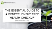 The Essential Guide to a Comprehensive Tree Health Checkup