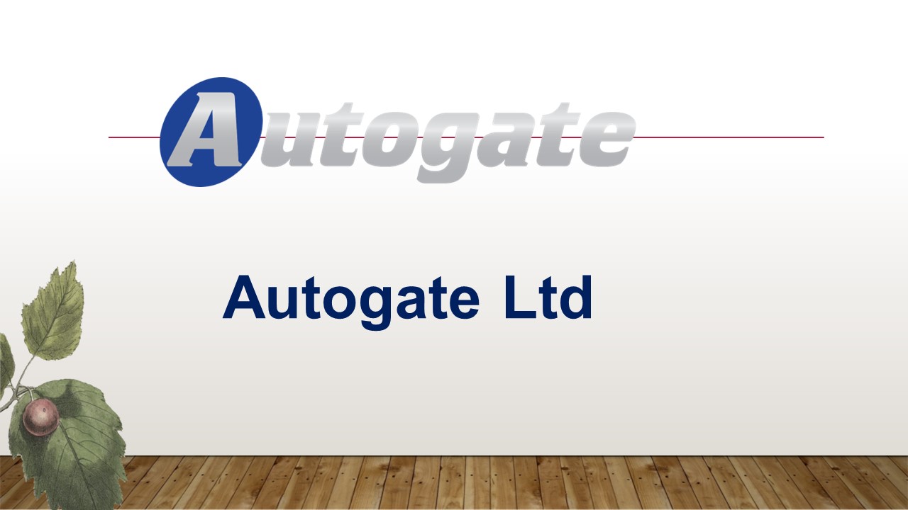 Commercial Automatic Gate Installation Surrey (1)