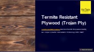 Termite Resistant Plywood