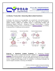 Antibody Production Advancing Biomedical Solutions