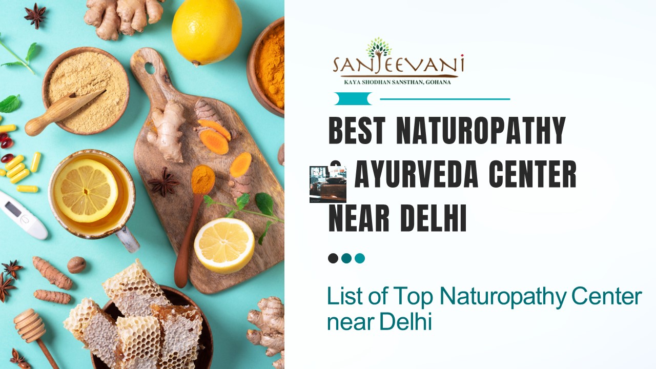 Best Naturopathy & Ayurveda Center Near Delhi