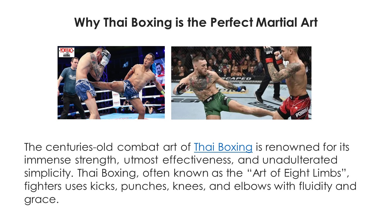 Why Thai Boxing is the Perfect Martial Art