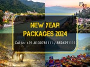 New Year Party Celebration 2024