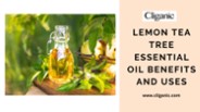 Lemon Tea Tree Essential Oil Benefits and Uses