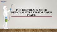 Best Black Mold Removal Experts for Your Place