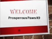 Best Pet Sitting in Norco