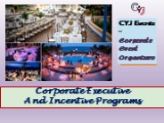 Corporate Executive And Incentive Programs