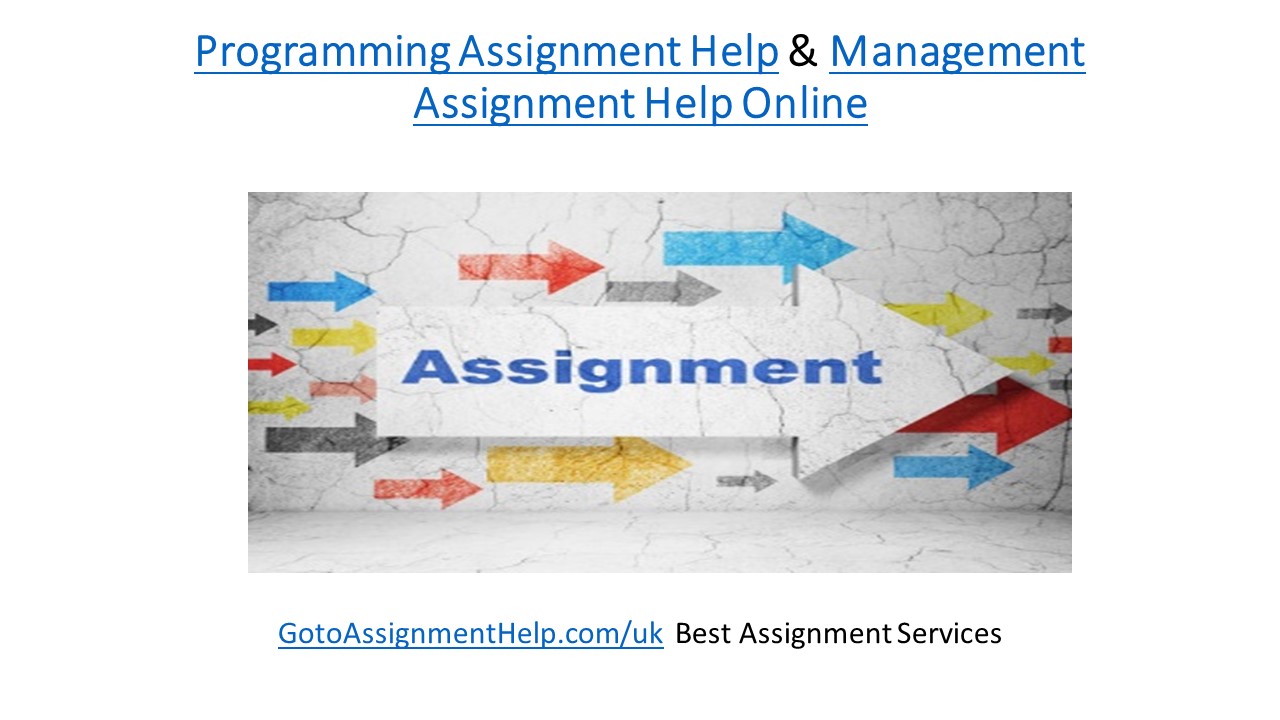 Programming Management Assignment Help Online