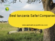 Best tanzania Safari Companies