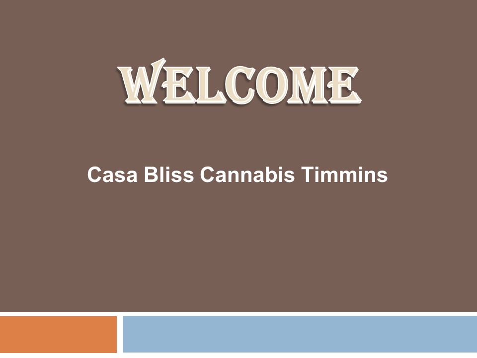 Best Marijuana in Schumacher