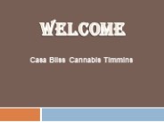 Best Marijuana in Schumacher