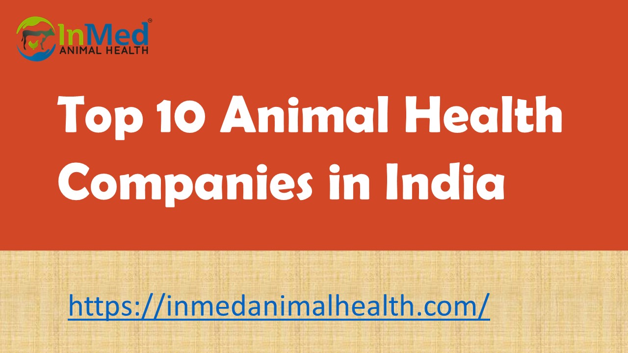 Top 10 Animal Health Companies in India (1)