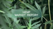 Hemp Market Report 2023