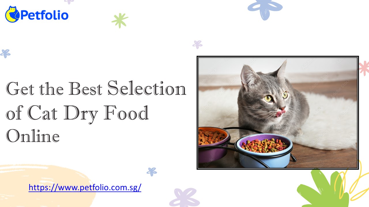Get the Best Selection of Cat Dry Food Online