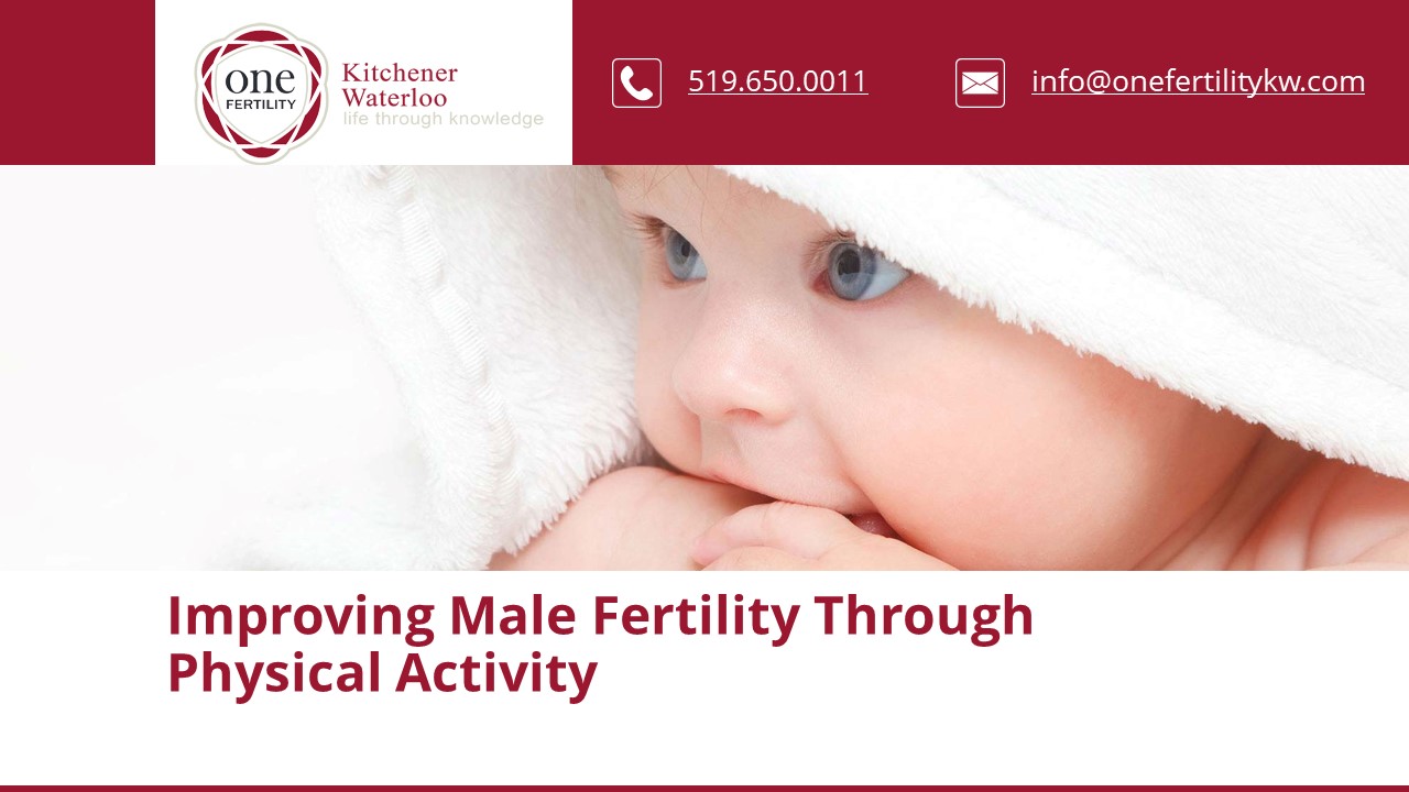 How Does Physical Activity Affect Sperm Quality?