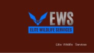 Rat Removal Houston | Elite Wildlife Services