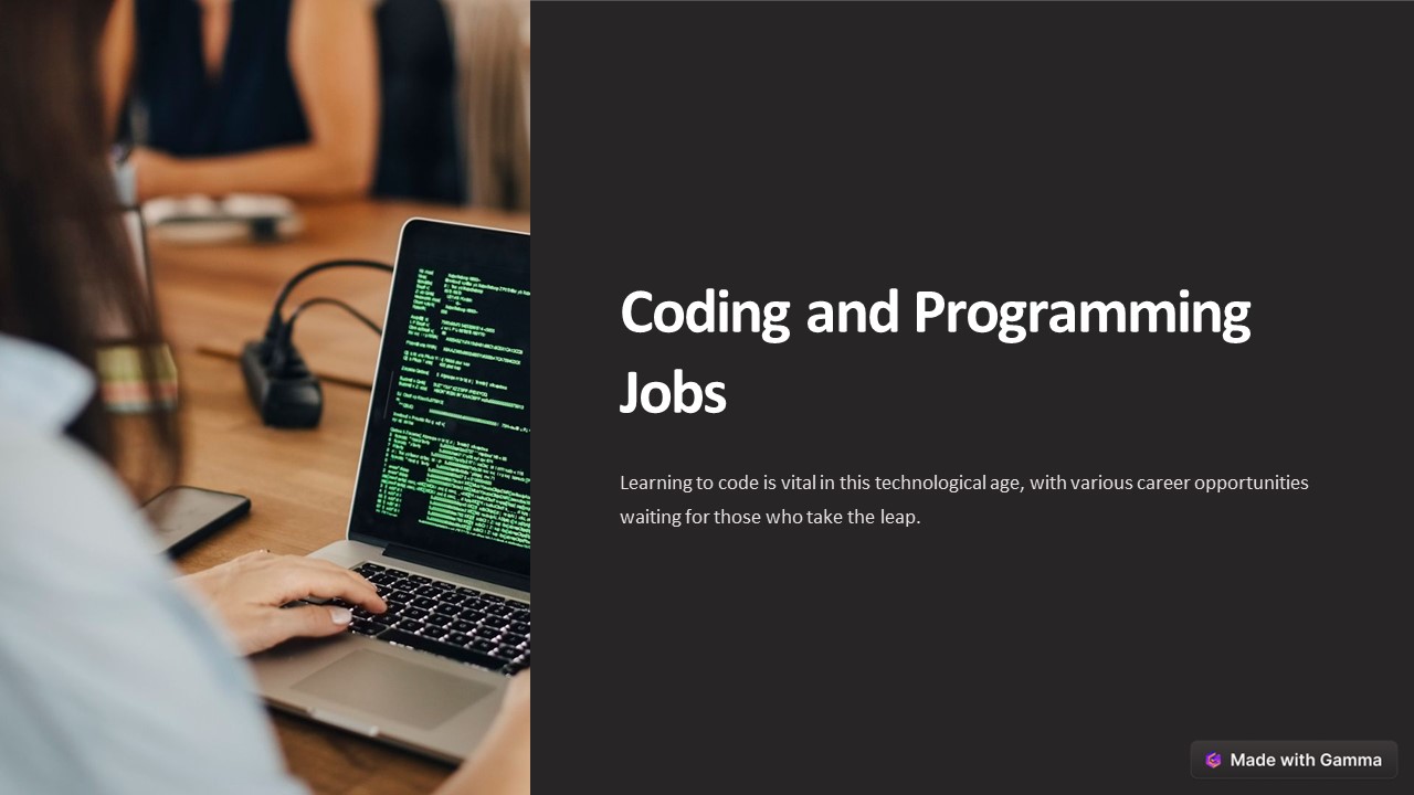 Career options in programming