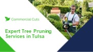 Expert Tree Pruning Services in Tusla