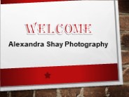 Best Family Photography in Graystone