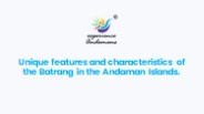 Baratang Island Andaman