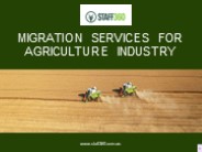 Migration Services For Agriculture Industry