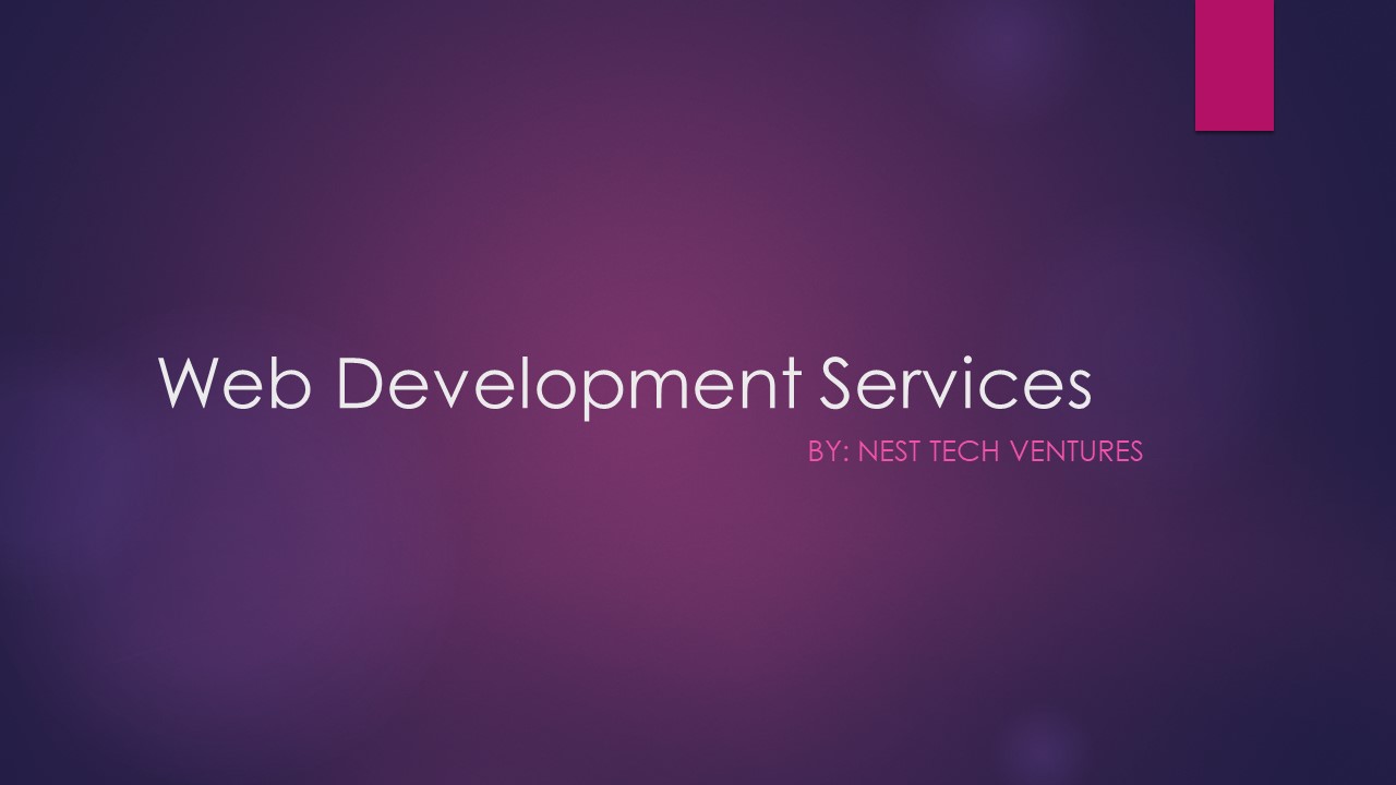 Web Development Services