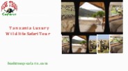 Tanzania Luxury Wildlife Safari Tour