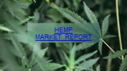 Global Hemp Market Report 2023