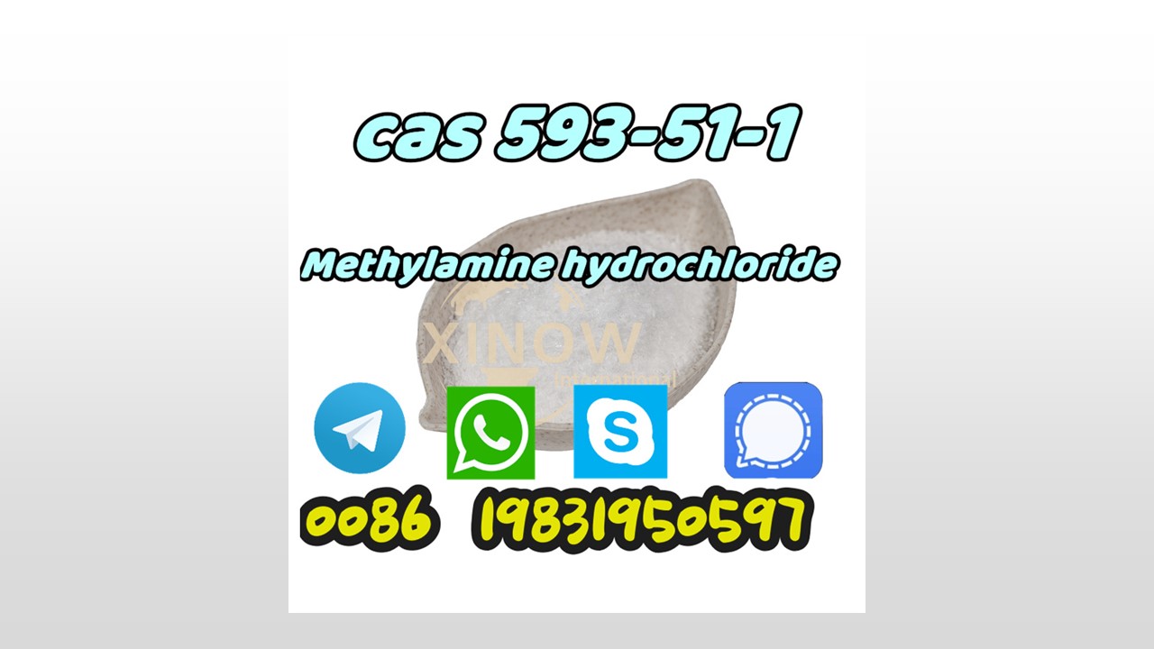 Factory supply methylamine hcl cas 593-51-1