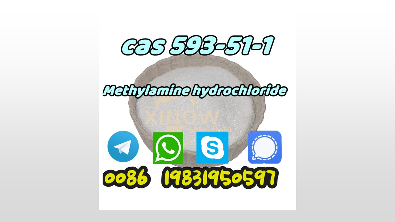 Methylamine Hydrochloride HCL CAS 593-51-1