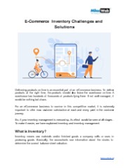 E-Commerce Inventory Challenges and Solutions
