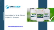 Herbicides for White Clover Control in Grasses