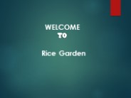 Get the Best Noodle in Parker
