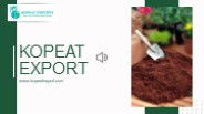 Coconut Coir Pith
