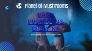 Magic Mushrooms Grow Kit