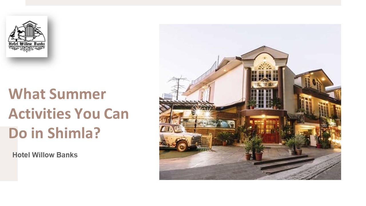 What Summer Activities You Can Do in Shimla? (1)