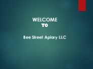 Best Bee Removal Specialist in Golden Gate