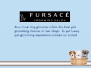 Pet Bath San Diego