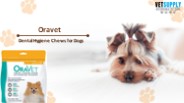 Oravet Dental Hygiene Chews For Dogs | Free Shipping*