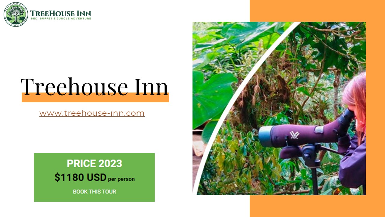 Explore Manu Reserve Zone On A Thrilling Tour