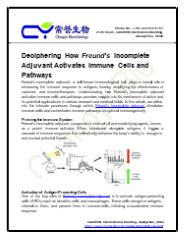 Deciphering How Freund's Incomplete Adjuvant Activates Immune Cells