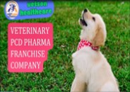 No.1 Veterinary PCD Pharma Franchise Company | Vetsonhealthcare PowerPoint PPT Presentation