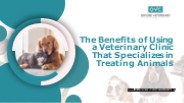 The Benefits of Using a Veterinary Clinic