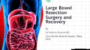 Large Bowel Resection Surgery and Recovery