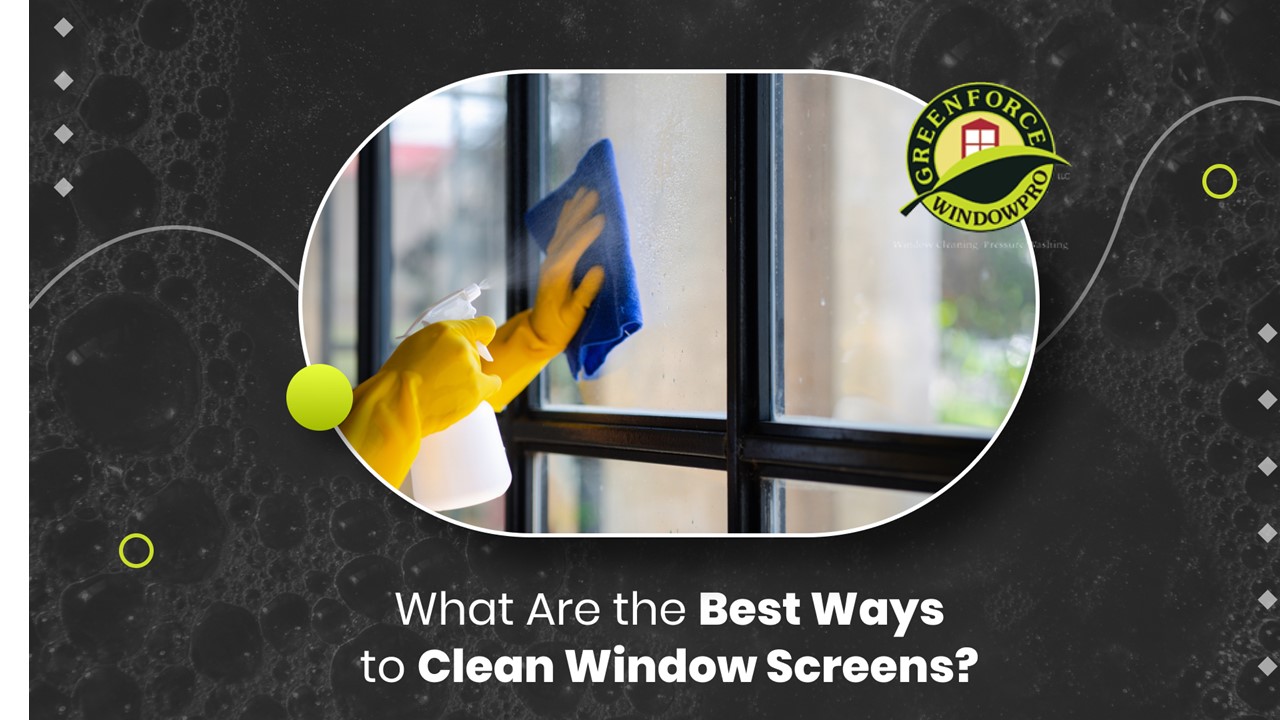 PPT What Are the Best Ways to Clean Window Screens? PowerPoint